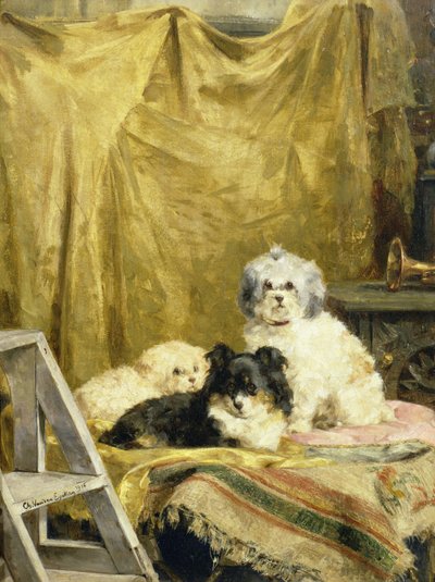 Three Dogs by Charles van den Eycken